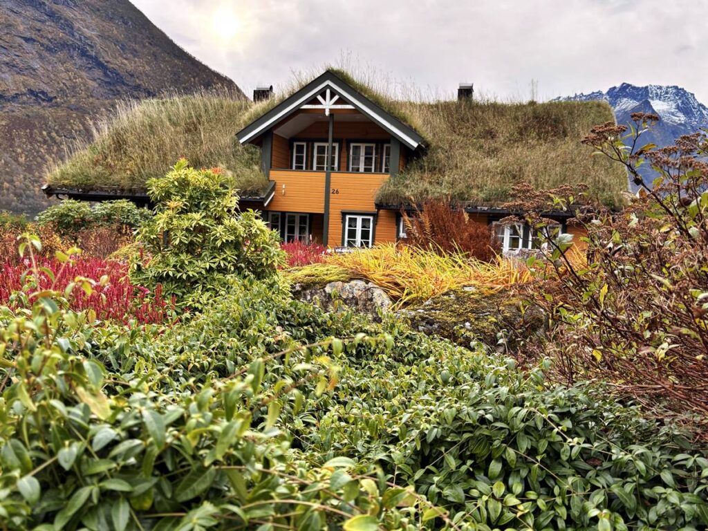 Ein mit Pflanzen überwachsenes Haus in Norwegen