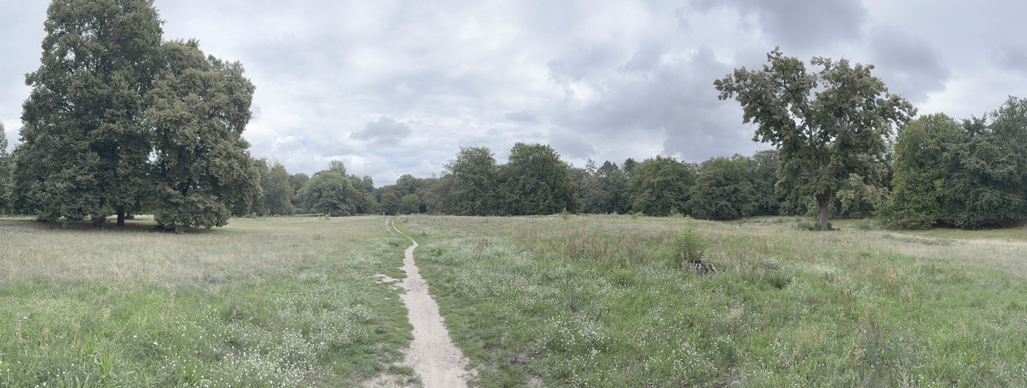 Was hier entsteht aus Wald, Land und Meer