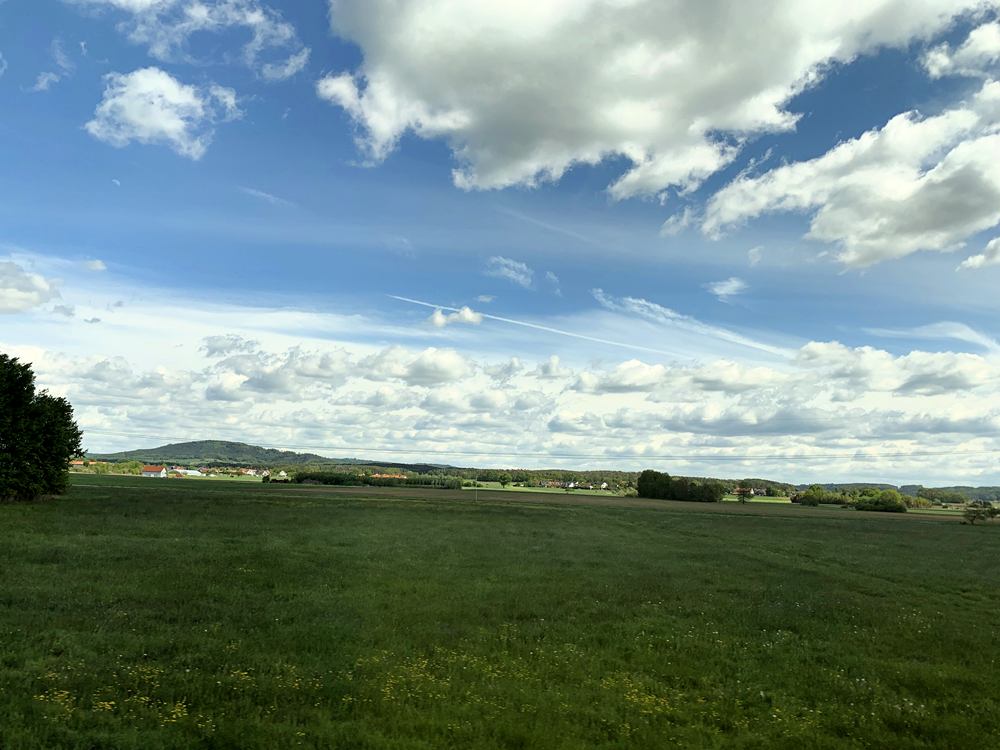 Land, Weite und Horizont im Waldlandmeer