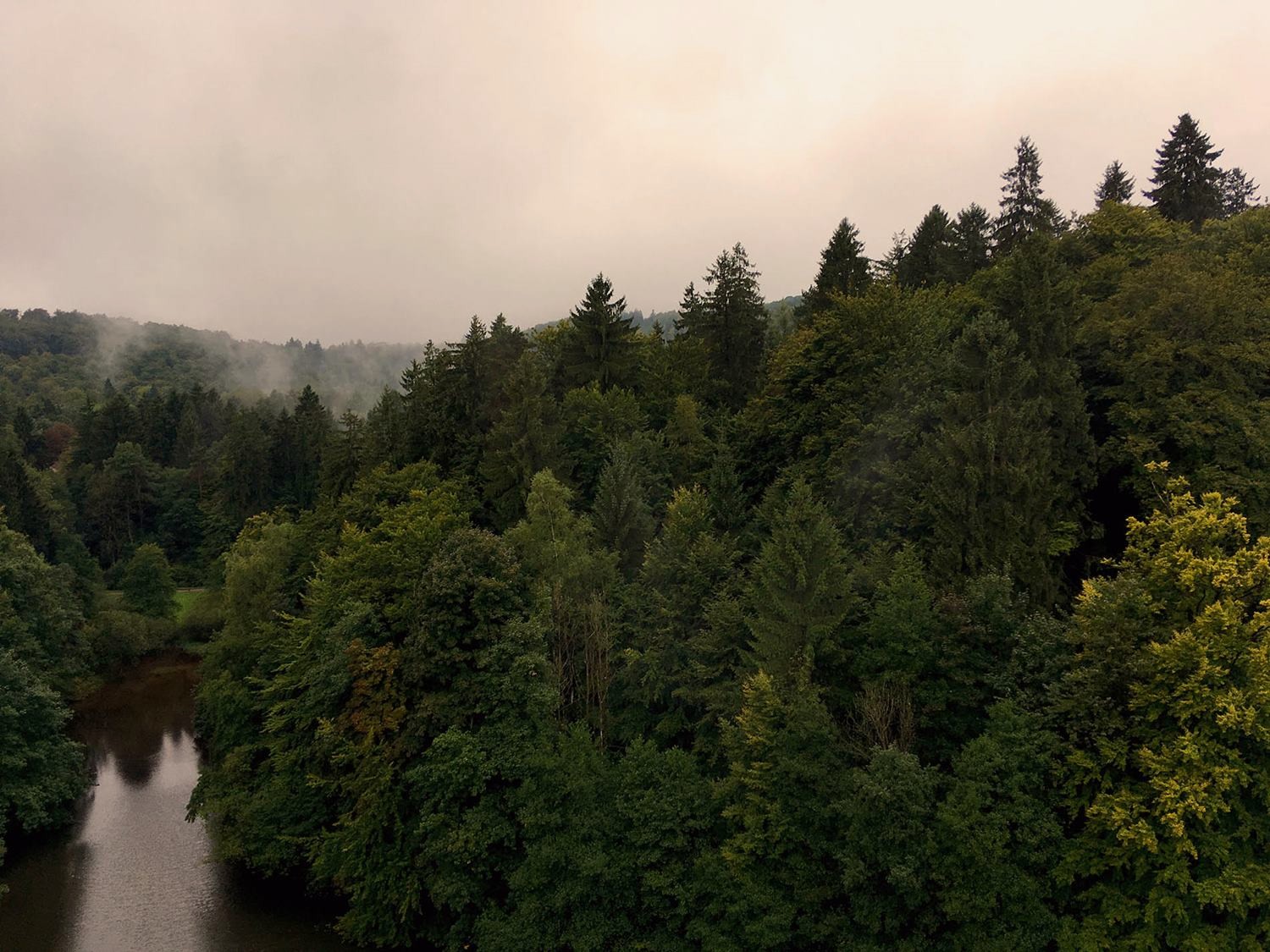 Teutoburger Wald Waldlandmeer