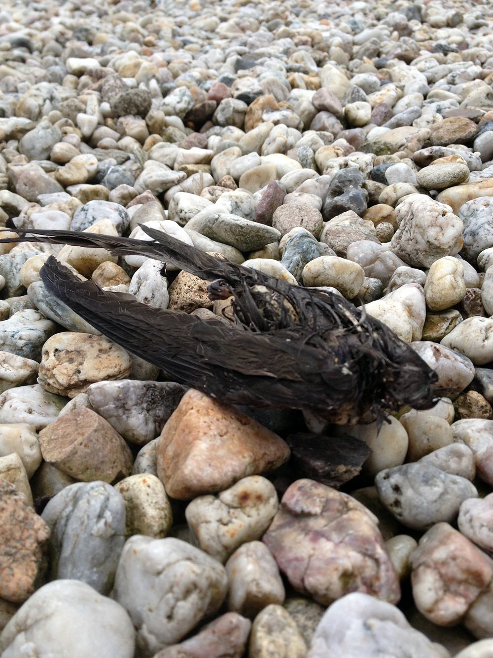 Zwischen Steinen liegen bleiben